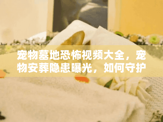 宠物墓地恐怖视频大全，宠物安葬隐患曝光，如何守护爱宠最后尊严？