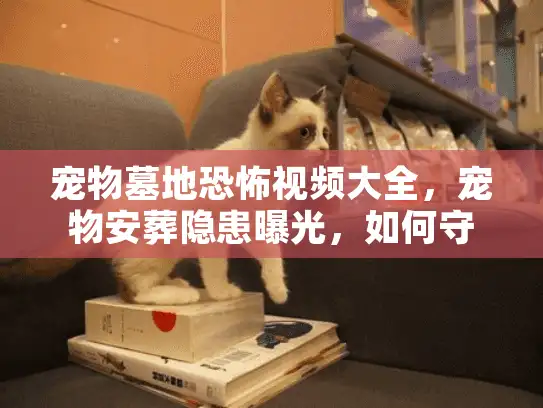 宠物墓地恐怖视频大全，宠物安葬隐患曝光，如何守护爱宠最后尊严？