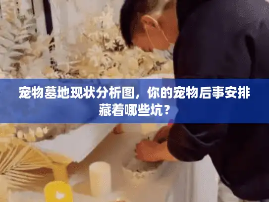 宠物墓地现状分析图，你的宠物后事安排藏着哪些坑？