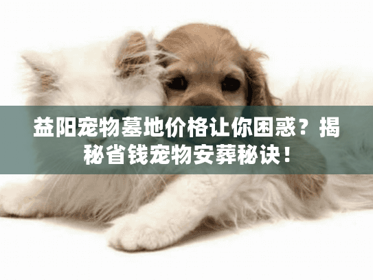 益阳宠物墓地价格让你困惑？揭秘省钱宠物安葬秘诀！