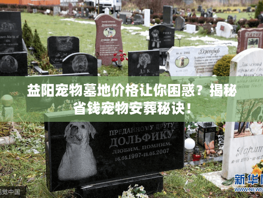 益阳宠物墓地价格让你困惑？揭秘省钱宠物安葬秘诀！