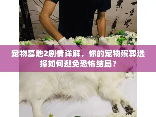 宠物墓地2剧情详解，你的宠物殡葬选择如何避免恐怖结局？
