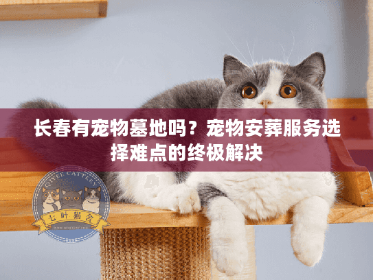 长春有宠物墓地吗？宠物安葬服务选择难点的终极解决