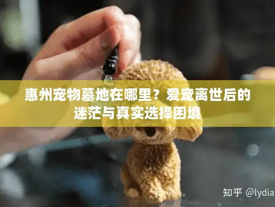惠州宠物墓地在哪里？爱宠离世后的迷茫与真实选择困境