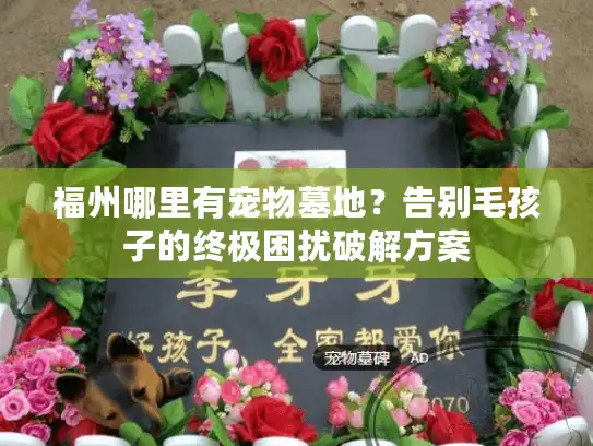 福州哪里有宠物墓地？告别毛孩子的终极困扰破解方案