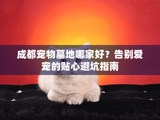 成都宠物墓地哪家好？告别爱宠的贴心避坑指南