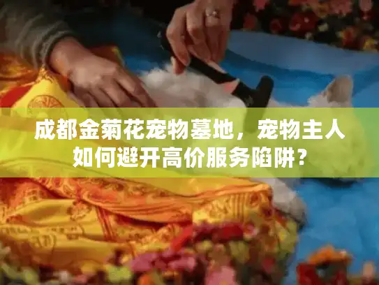 成都金菊花宠物墓地，宠物主人如何避开高价服务陷阱？