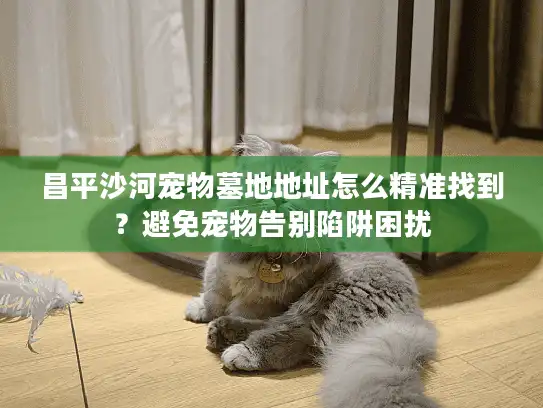 昌平沙河宠物墓地地址怎么精准找到？避免宠物告别陷阱困扰