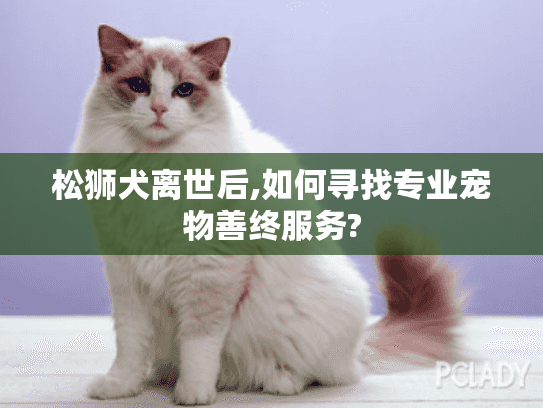 松狮犬离世后,如何寻找专业宠物善终服务?