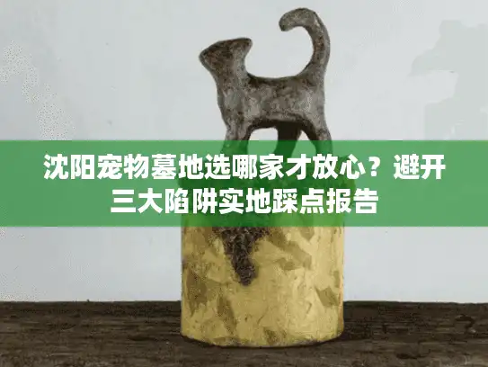 沈阳宠物墓地选哪家才放心？避开三大陷阱实地踩点报告