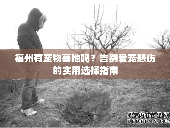 福州有宠物墓地吗？告别爱宠悲伤的实用选择指南