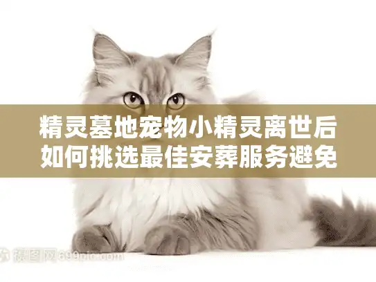 精灵墓地宠物小精灵离世后如何挑选最佳安葬服务避免遗憾？