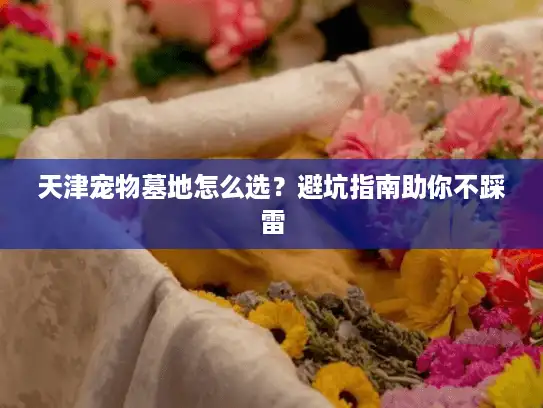 天津宠物墓地怎么选？避坑指南助你不踩雷