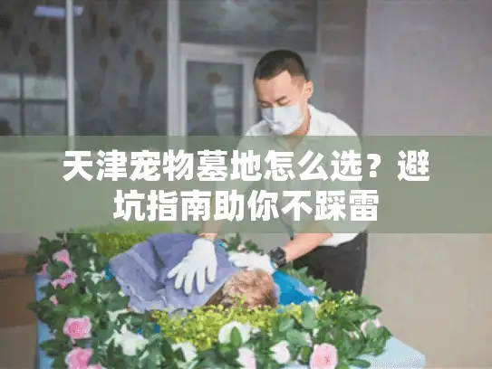 天津宠物墓地怎么选？避坑指南助你不踩雷