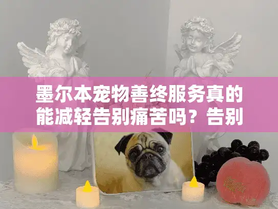 墨尔本宠物善终服务真的能减轻告别痛苦吗?告别指南+暖心选择 墨尔本宠物善终服务真的能减轻告别痛苦吗?告别指南+暖心选择