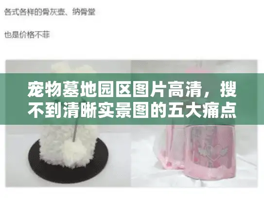 宠物墓地园区图片高清，搜不到清晰实景图的五大痛点？