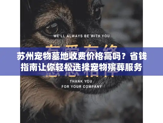 苏州宠物墓地收费价格高吗?省钱指南让你轻松选择宠物殡葬服务 苏州宠物墓地收费价格高吗?省钱指南让你轻松选择宠物殡葬服务