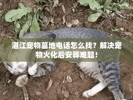 湛江宠物墓地电话怎么找？解决宠物火化后安葬难题！