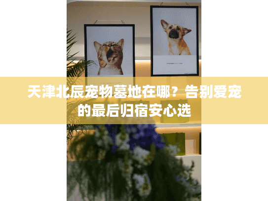天津北辰宠物墓地在哪？告别爱宠的最后归宿安心选