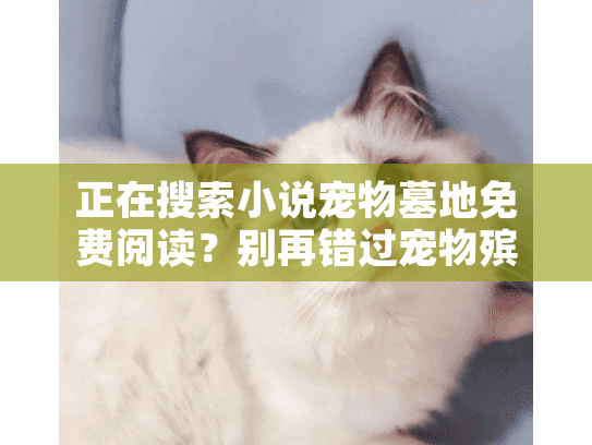 正在搜索小说宠物墓地免费阅读？别再错过宠物殡葬服务的最佳避坑策略