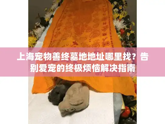 上海宠物善终墓地地址哪里找？告别爱宠的终极烦恼解决指南