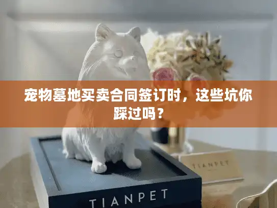 宠物墓地买卖合同签订时，这些坑你踩过吗？