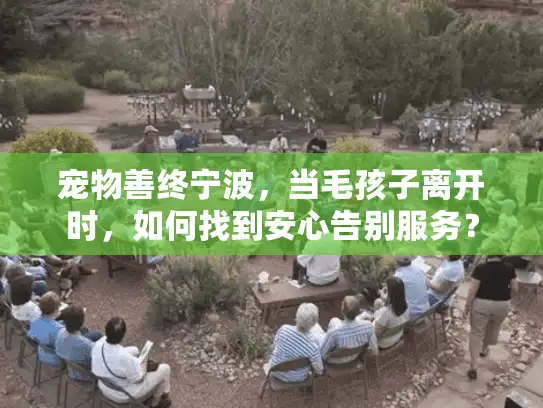 宠物善终宁波，当毛孩子离开时，如何找到安心告别服务？