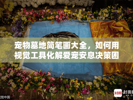 宠物墓地简笔画大全，如何用视觉工具化解爱宠安息决策困境？