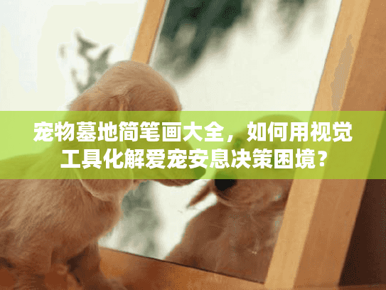 宠物墓地简笔画大全，如何用视觉工具化解爱宠安息决策困境？