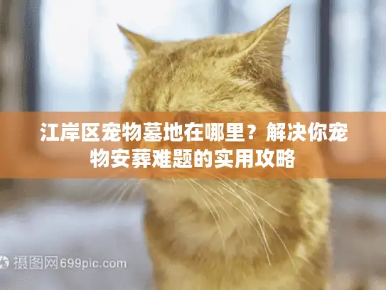 江岸区宠物墓地在哪里？解决你宠物安葬难题的实用攻略