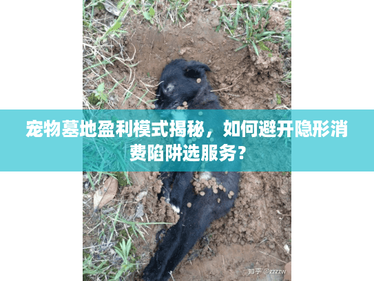宠物墓地盈利模式揭秘,如何避开隐形消费陷阱选服务? 宠物墓地盈利模式揭秘,如何避开隐形消费陷阱选服务?