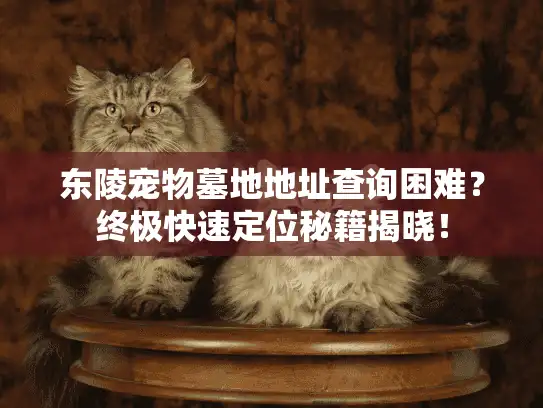 东陵宠物墓地地址查询困难？终极快速定位秘籍揭晓！