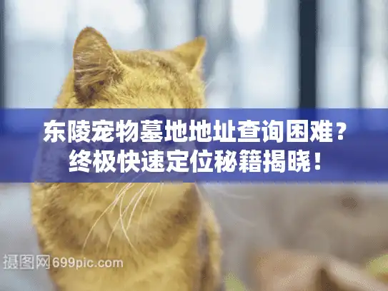 东陵宠物墓地地址查询困难？终极快速定位秘籍揭晓！