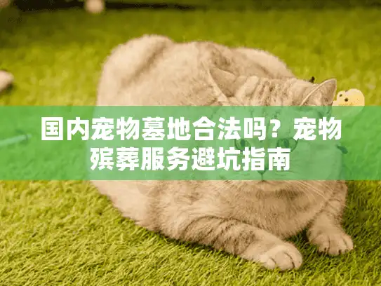 国内宠物墓地合法吗?宠物殡葬服务避坑指南 国内宠物墓地合法吗?宠物殡葬服务避坑指南