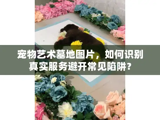 宠物艺术墓地图片，如何识别真实服务避开常见陷阱？