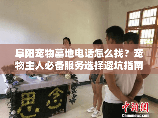 阜阳宠物墓地电话怎么找？宠物主人必备服务选择避坑指南