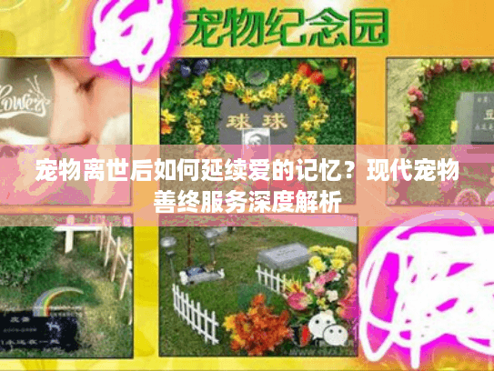 宠物离世后如何延续爱的记忆?现代宠物善终服务深度解析 宠物离世后如何延续爱的记忆?现代宠物善终服务深度解析