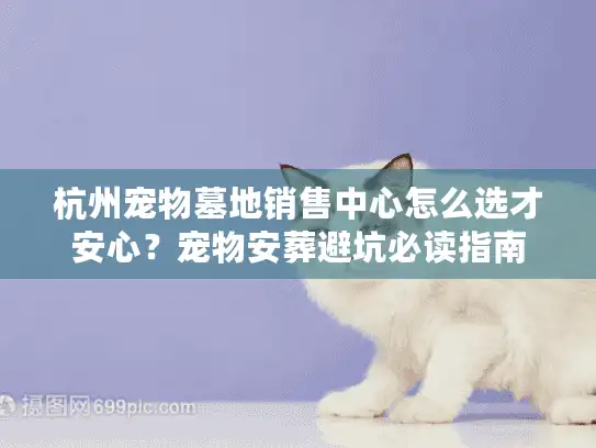 杭州宠物墓地销售中心怎么选才安心？宠物安葬避坑必读指南
