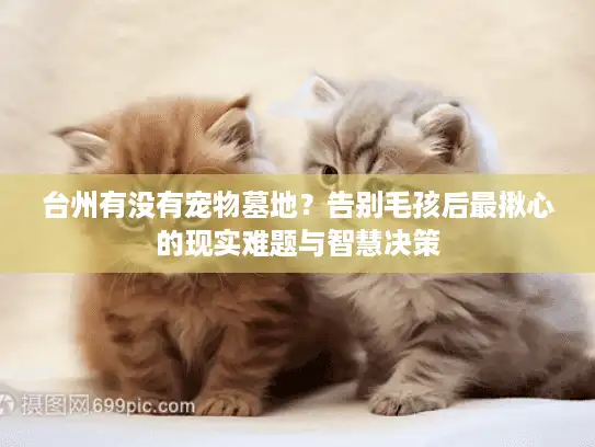 台州有没有宠物墓地？告别毛孩后最揪心的现实难题与智慧决策