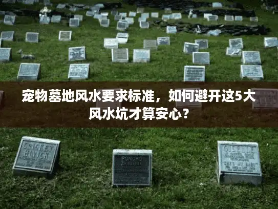 宠物墓地风水要求标准，如何避开这5大风水坑才算安心？