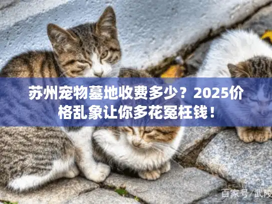 苏州宠物墓地收费多少？2025价格乱象让你多花冤枉钱！