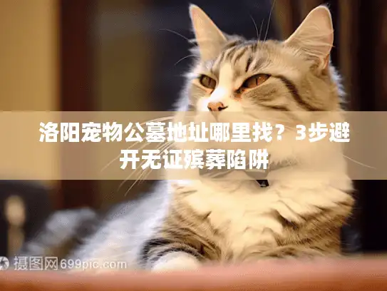 洛阳宠物公墓地址哪里找？3步避开无证殡葬陷阱