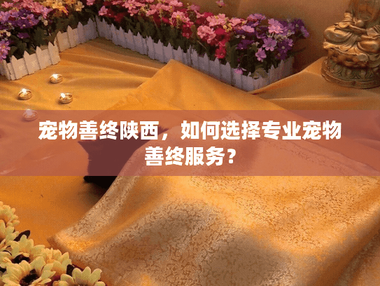 宠物善终陕西,如何选择专业宠物善终服务? 宠物善终陕西,如何选择专业宠物善终服务?