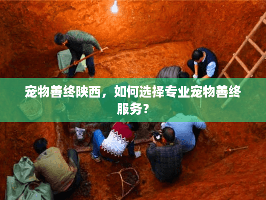 宠物善终陕西,如何选择专业宠物善终服务? 宠物善终陕西,如何选择专业宠物善终服务?
