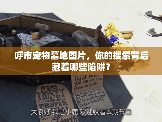 呼市宠物墓地图片，你的搜索背后藏着哪些陷阱？
