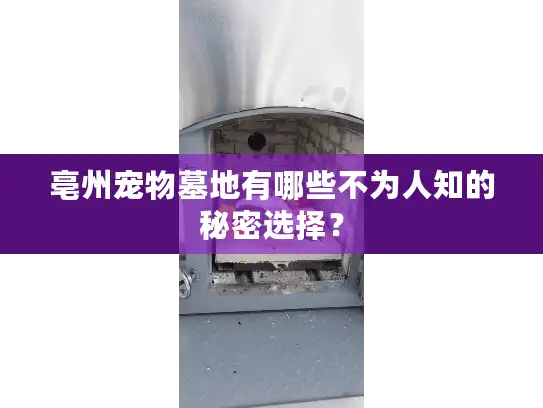 亳州宠物墓地有哪些不为人知的秘密选择? 亳州宠物墓地有哪些不为人知的秘密选择?