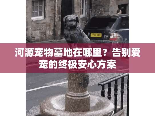 河源宠物墓地在哪里？告别爱宠的终极安心方案