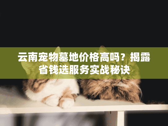 云南宠物墓地价格高吗？揭露省钱选服务实战秘诀