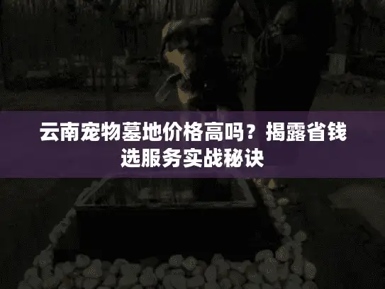 云南宠物墓地价格高吗？揭露省钱选服务实战秘诀