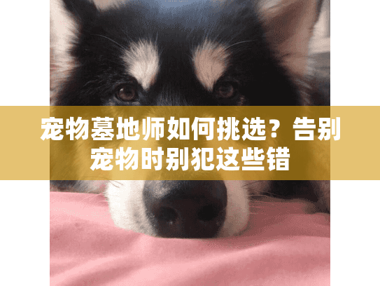 宠物墓地师如何挑选?告别宠物时别犯这些错 宠物墓地师如何挑选?告别宠物时别犯这些错
